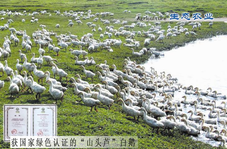 绥化望奎县农牧场配套恒压给水设备+生活水箱